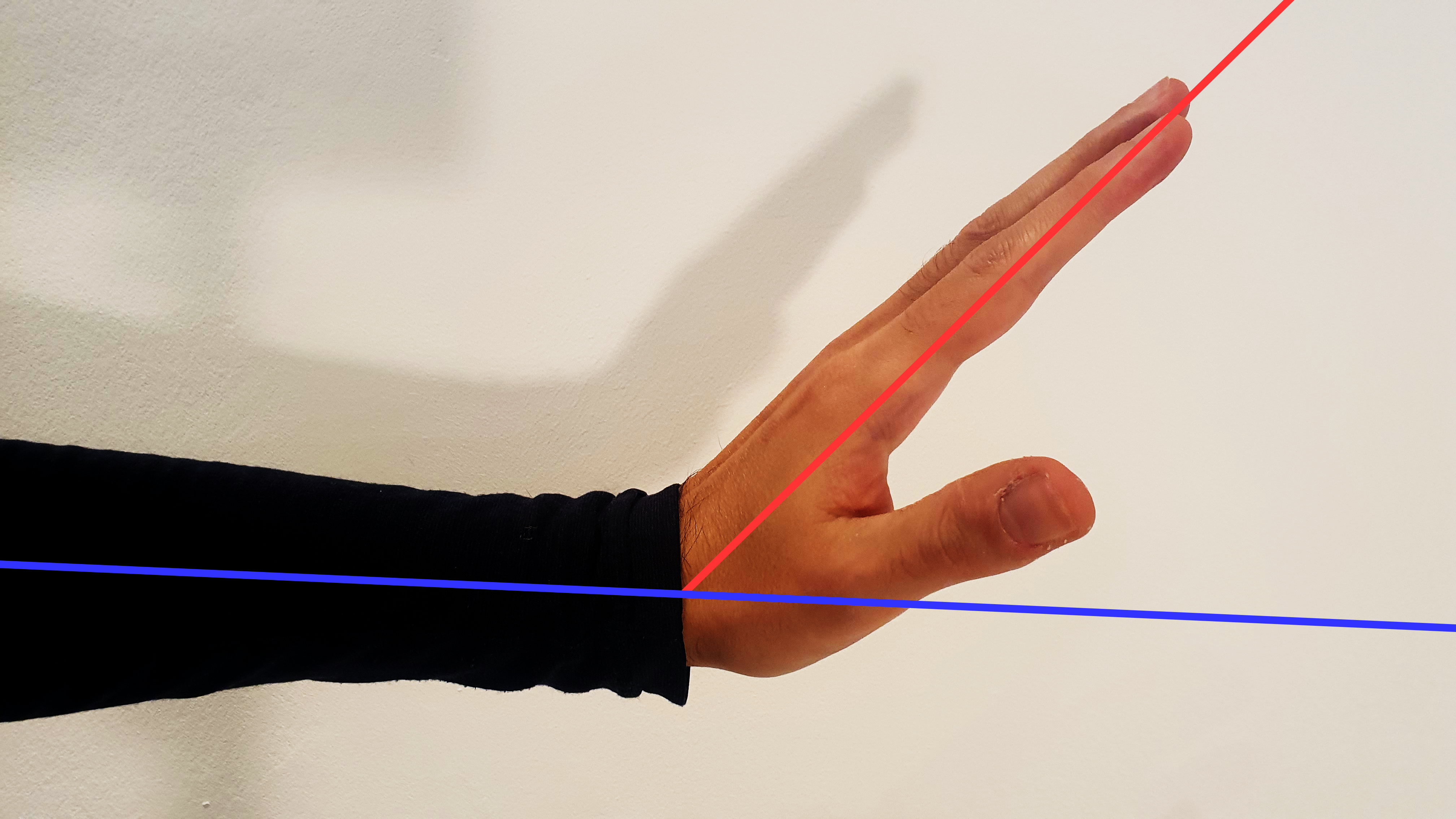 Movements of the wrist